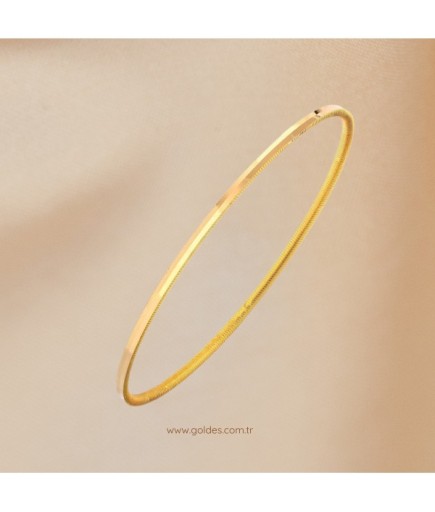 10 Gram Ray Ajda İşçiliksiz Bilezik